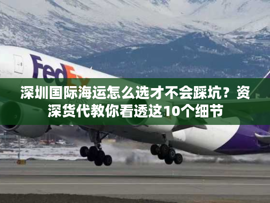 深圳国际海运怎么选才不会踩坑？资深货代教你看透这10个细节