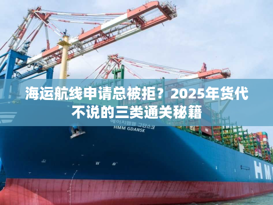 海运航线申请总被拒？2025年货代不说的三类通关秘籍