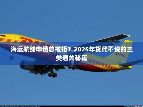 海运航线申请总被拒？2025年货代不说的三类通关秘籍