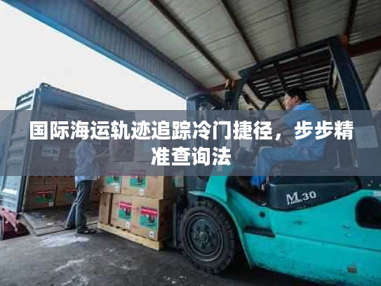 国际海运轨迹追踪冷门捷径，步步精准查询法