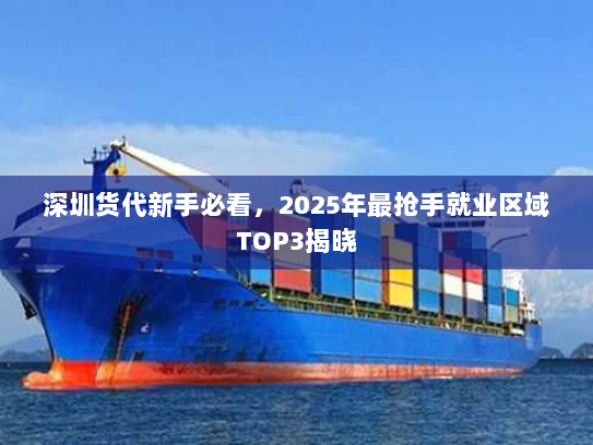 深圳货代新手必看,2025年最抢手就业区域TOP3揭晓 深圳货代新手必看,2025年最抢手就业区域TOP3揭晓