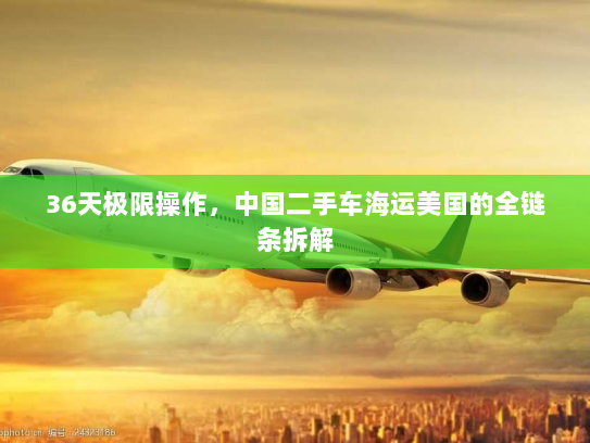 36天极限操作,中国二手车海运美国的全链条拆解 36天极限操作,中国二手车海运美国的全链条拆解