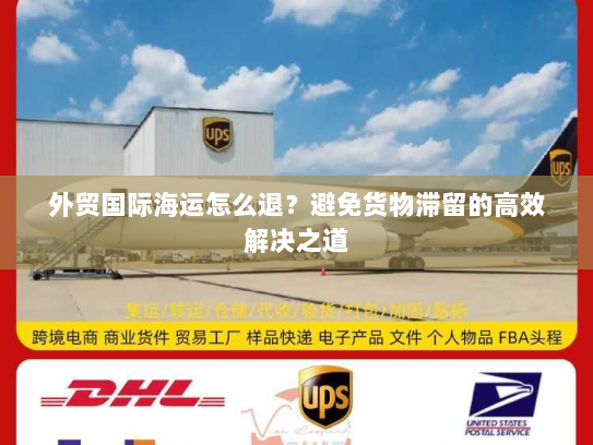 外贸国际海运怎么退？避免货物滞留的高效解决之道