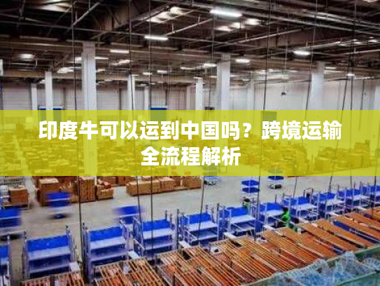 印度牛可以运到中国吗？跨境运输全流程解析