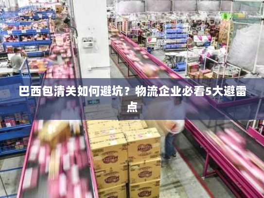 巴西包清关如何避坑?物流企业必看5大避雷点 巴西包清关如何避坑?物流企业必看5大避雷点