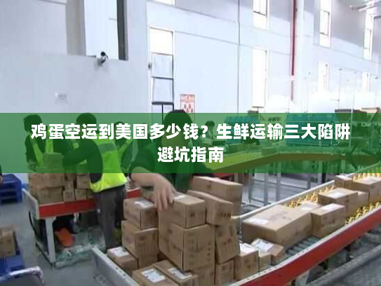 鸡蛋空运到美国多少钱?生鲜运输三大陷阱避坑指南 鸡蛋空运到美国多少钱?生鲜运输三大陷阱避坑指南
