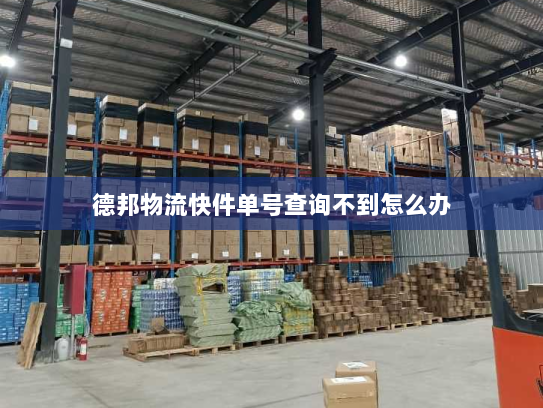 德邦物流快件单号查询不到怎么办 德邦物流快件单号查询不到怎么办