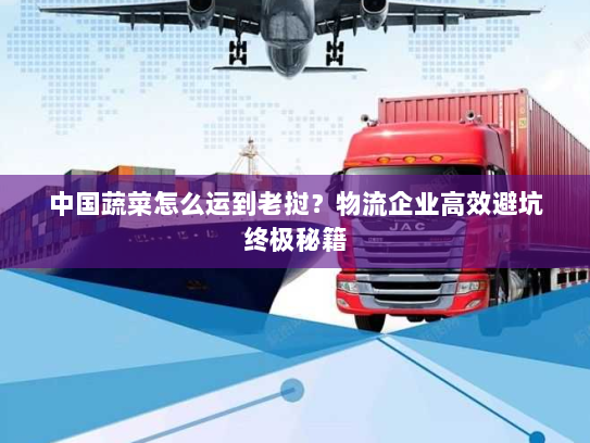 中国蔬菜怎么运到老挝？物流企业高效避坑终极秘籍