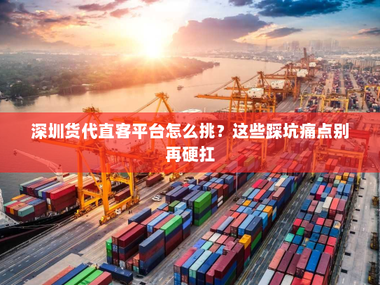 深圳货代直客平台怎么挑?这些踩坑痛点别再硬扛 深圳货代直客平台怎么挑?这些踩坑痛点别再硬扛