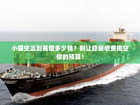 小猫空运到美国多少钱?别让隐藏收费掏空你的预算! 小猫空运到美国多少钱?别让隐藏收费掏空你的预算!