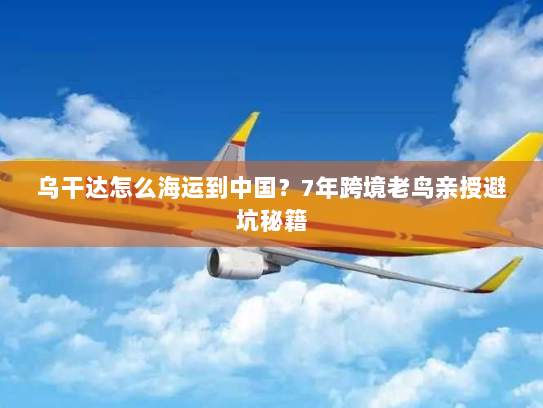 乌干达怎么海运到中国？7年跨境老鸟亲授避坑秘籍
