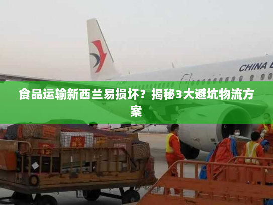 食品运输新西兰易损坏？揭秘3大避坑物流方案