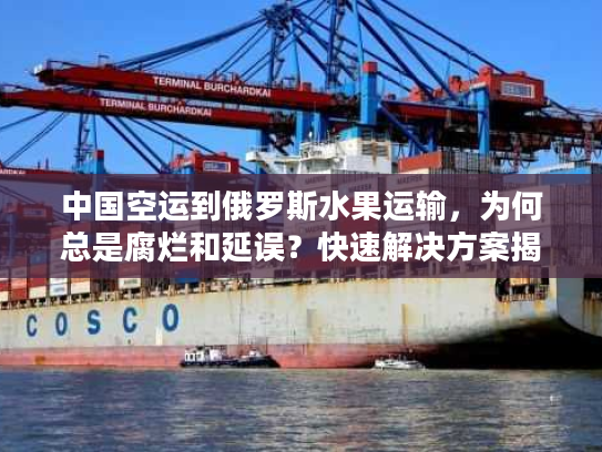 中国空运到俄罗斯水果运输,为何总是腐烂和延误?快速解决方案揭秘 中国空运到俄罗斯水果运输,为何总是腐烂和延误?快速解决方案揭秘