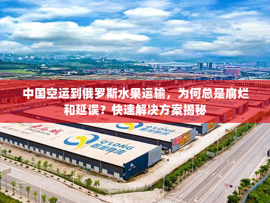 中国空运到俄罗斯水果运输，为何总是腐烂和延误？快速解决方案揭秘