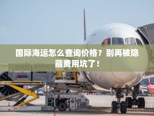 国际海运怎么查询价格？别再被隐藏费用坑了！