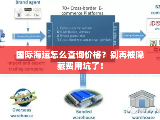 国际海运怎么查询价格？别再被隐藏费用坑了！