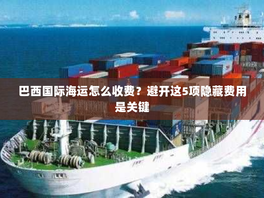 巴西国际海运怎么收费？避开这5项隐藏费用是关键