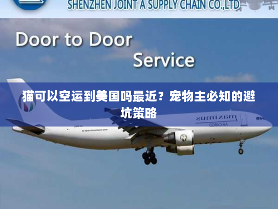 猫可以空运到美国吗最近?宠物主必知的避坑策略 猫可以空运到美国吗最近?宠物主必知的避坑策略