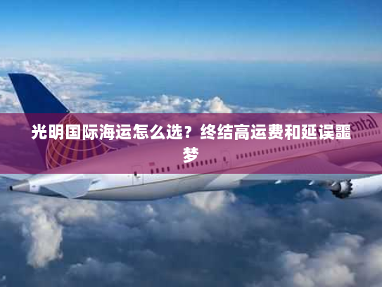 光明国际海运怎么选？终结高运费和延误噩梦