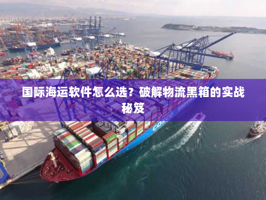 国际海运软件怎么选？破解物流黑箱的实战秘笈