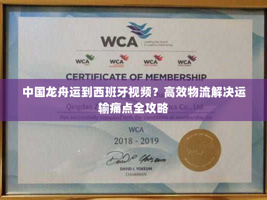 中国龙舟运到西班牙视频？高效物流解决运输痛点全攻略