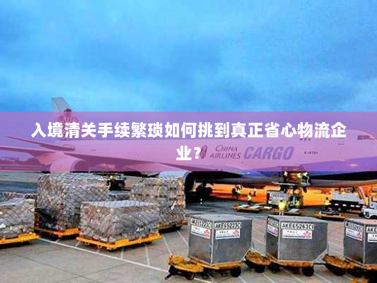 入境清关手续繁琐如何挑到真正省心物流企业? 入境清关手续繁琐如何挑到真正省心物流企业?