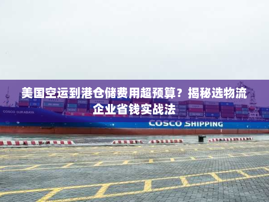美国空运到港仓储费用超预算?揭秘选物流企业省钱实战法 美国空运到港仓储费用超预算?揭秘选物流企业省钱实战法