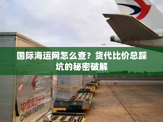 国际海运网怎么查？货代比价总踩坑的秘密破解