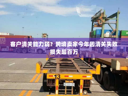 客户清关能力弱?跨境卖家今年因清关失败损失超百万 客户清关能力弱?跨境卖家今年因清关失败损失超百万