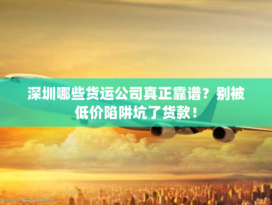 深圳哪些货运公司真正靠谱？别被低价陷阱坑了货款！