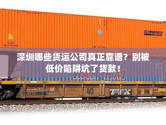 深圳哪些货运公司真正靠谱？别被低价陷阱坑了货款！