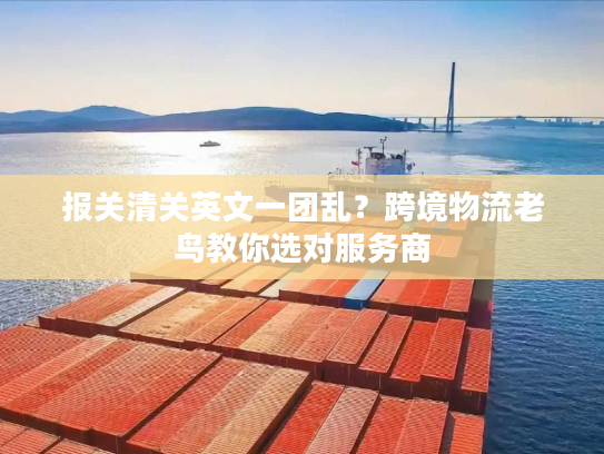 报关清关英文一团乱?跨境物流老鸟教你选对服务商 报关清关英文一团乱?跨境物流老鸟教你选对服务商