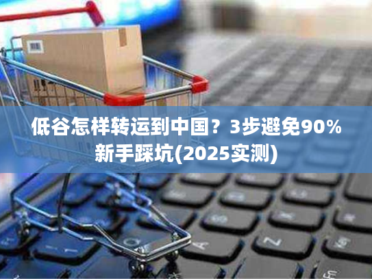 低谷怎样转运到中国?3步避免90%新手踩坑(2025实测) 低谷怎样转运到中国?3步避免90%新手踩坑(2025实测)
