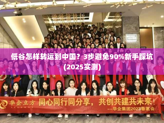 低谷怎样转运到中国？3步避免90%新手踩坑(2025实测)