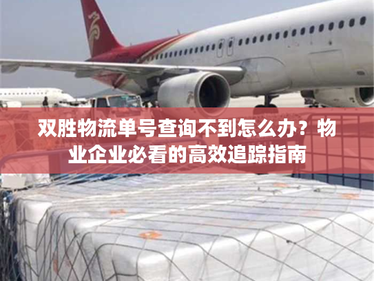 双胜物流单号查询不到怎么办？物业企业必看的高效追踪指南