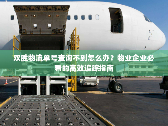 双胜物流单号查询不到怎么办？物业企业必看的高效追踪指南