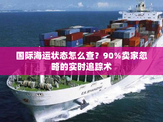 国际海运状态怎么查？90%卖家忽略的实时追踪术