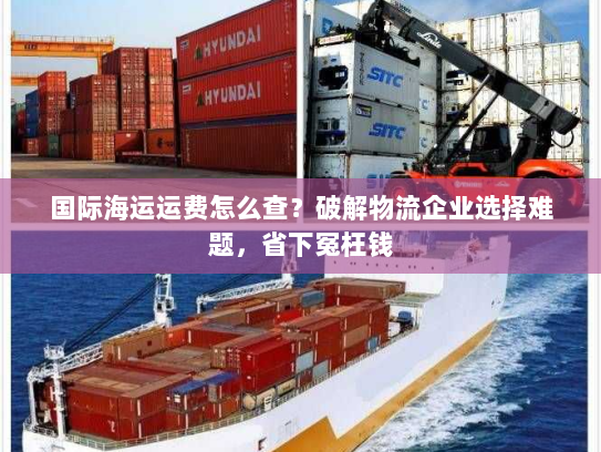 国际海运运费怎么查?破解物流企业选择难题,省下冤枉钱 国际海运运费怎么查?破解物流企业选择难题,省下冤枉钱