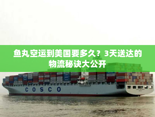 鱼丸空运到美国要多久？3天送达的物流秘诀大公开
