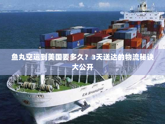 鱼丸空运到美国要多久?3天送达的物流秘诀大公开 鱼丸空运到美国要多久?3天送达的物流秘诀大公开