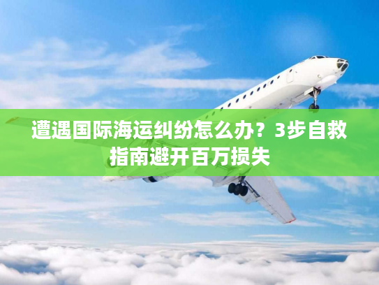 遭遇国际海运纠纷怎么办？3步自救指南避开百万损失