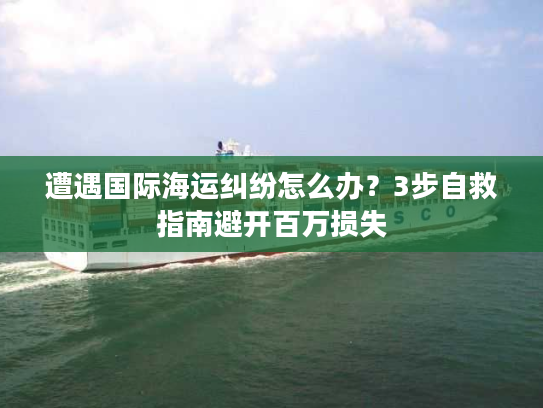 遭遇国际海运纠纷怎么办？3步自救指南避开百万损失