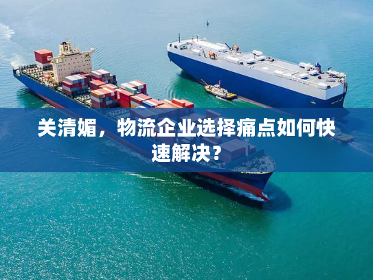 关清媚，物流企业选择痛点如何快速解决？