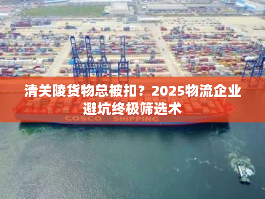 清关陵货物总被扣?2025物流企业避坑终极筛选术 清关陵货物总被扣?2025物流企业避坑终极筛选术
