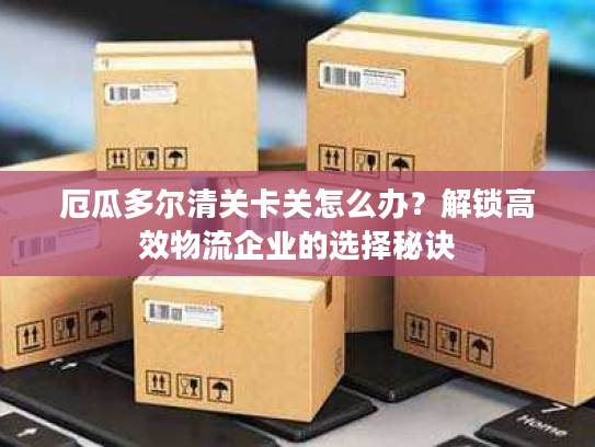 厄瓜多尔清关卡关怎么办？解锁高效物流企业的选择秘诀