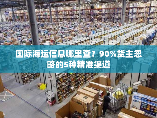 国际海运信息哪里查？90%货主忽略的5种精准渠道