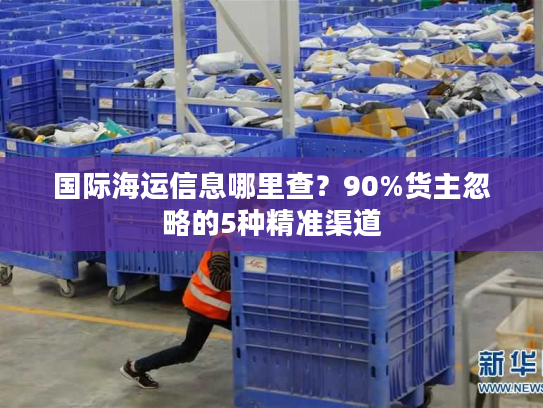 国际海运信息哪里查？90%货主忽略的5种精准渠道