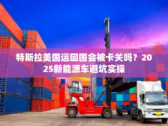 特斯拉美国运回国会被卡关吗？2025新能源车避坑实操