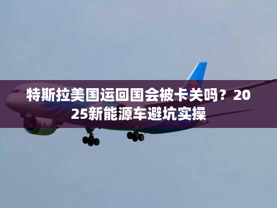 特斯拉美国运回国会被卡关吗？2025新能源车避坑实操
