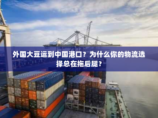 外国大豆运到中国港口?为什么你的物流选择总在拖后腿? 外国大豆运到中国港口?为什么你的物流选择总在拖后腿?